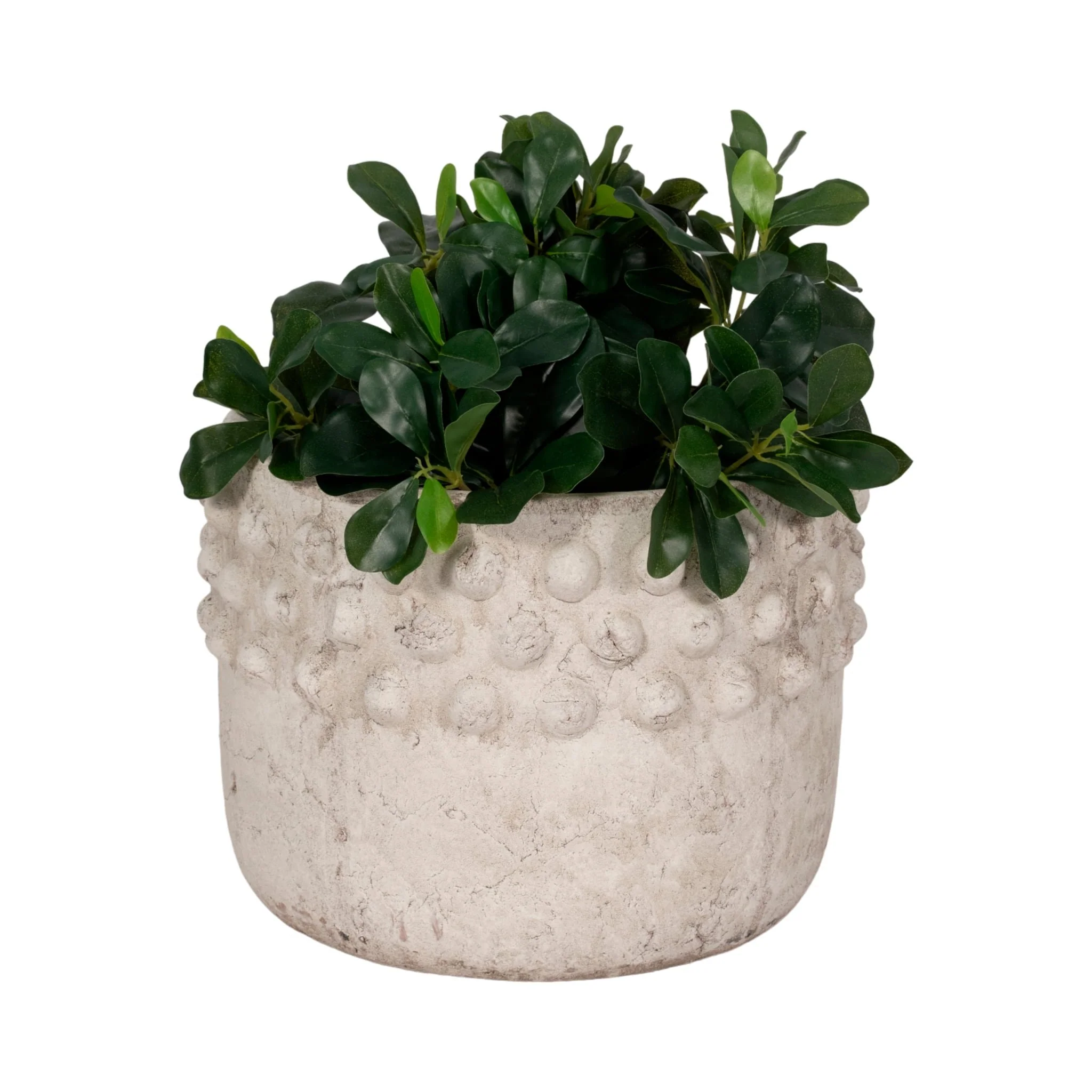 12" Half Bubble Weathered Planter, Ivor - Image 2