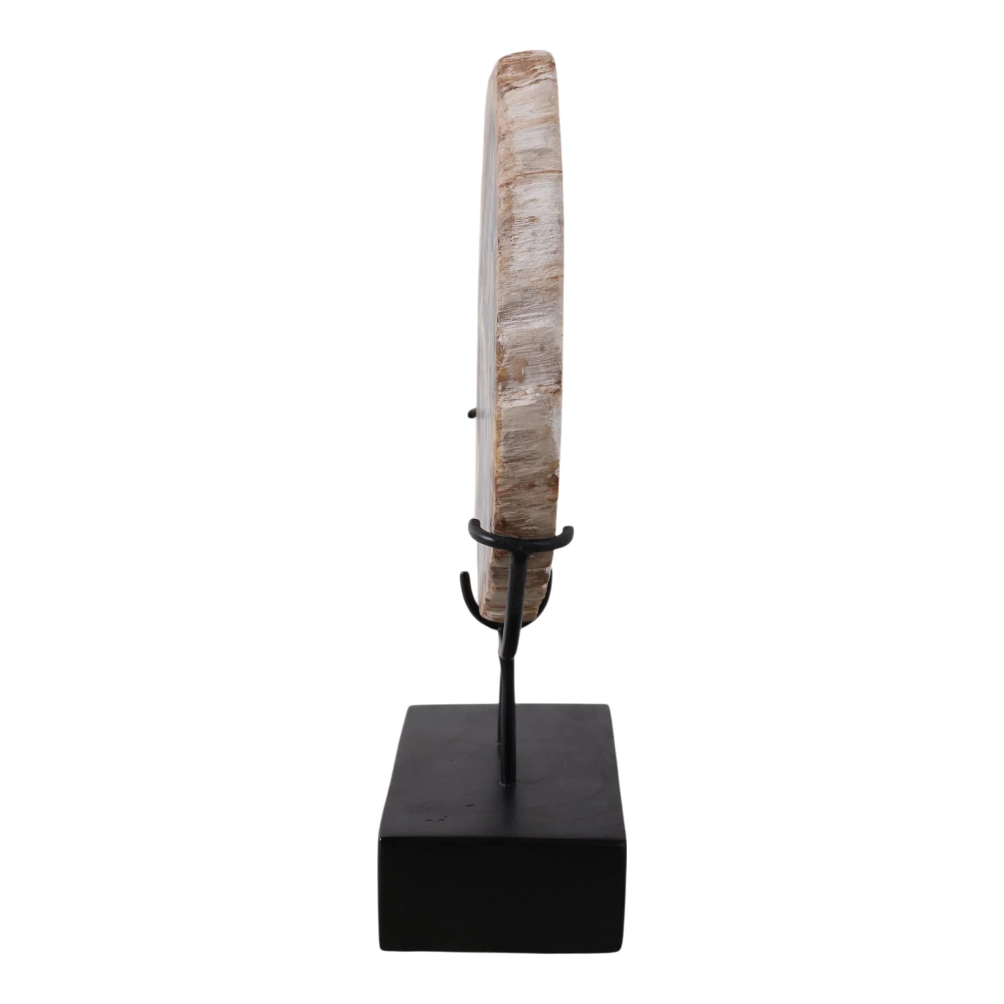 17x14" Petrified Wood Disc On Stand, Black/brown - Image 3