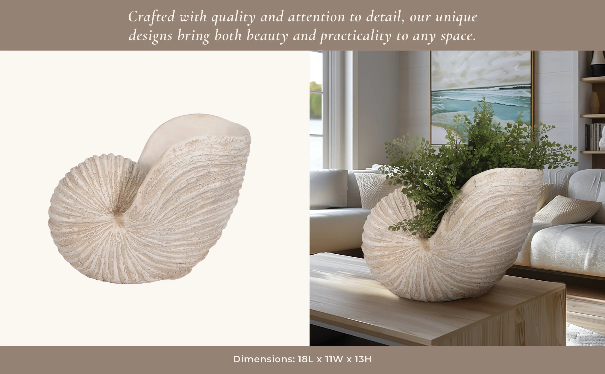 18" Shell Sculpture, Ivory - Image 12