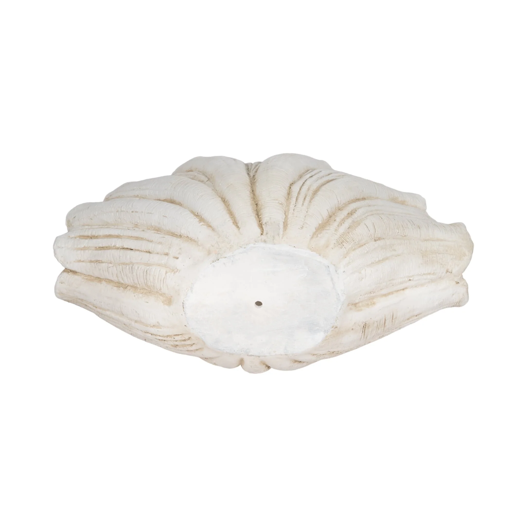 22" Scallop Shell Decor, White - Image 7