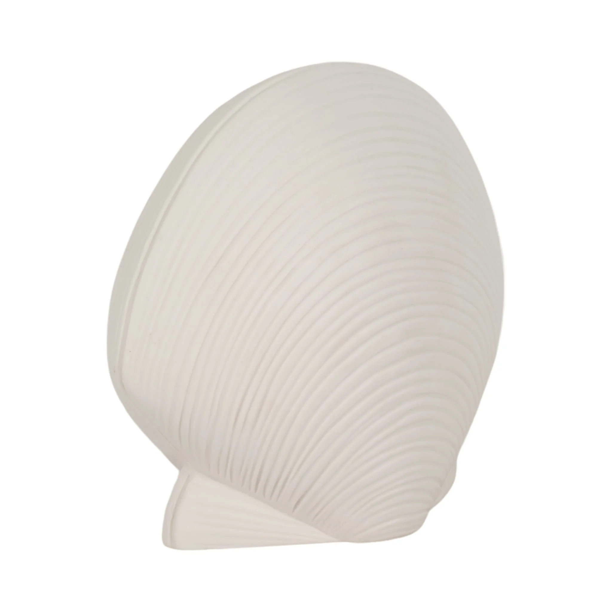 6" Seashell Decor, White - Image 2
