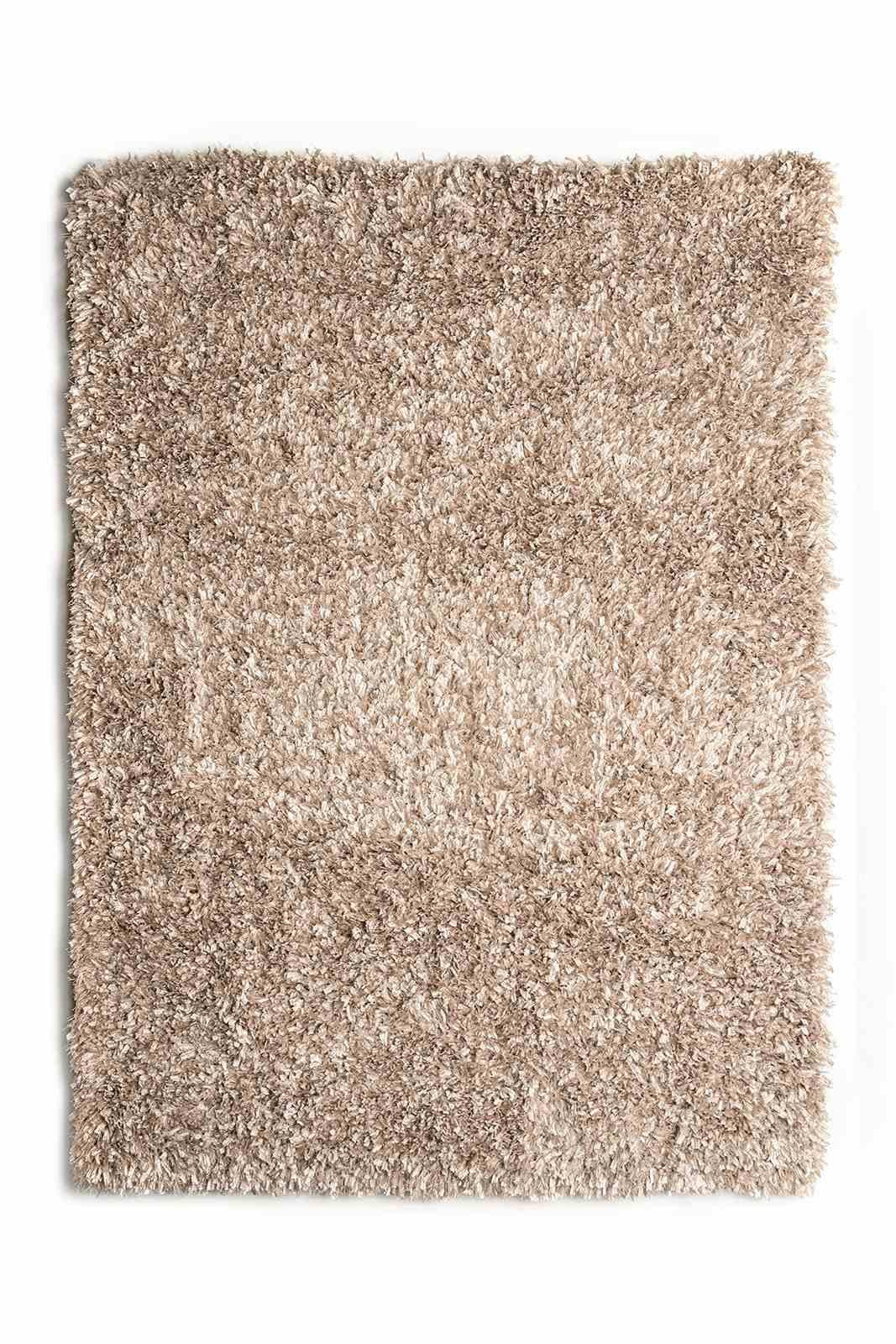 Annmarie 5' X 7' Area Rug