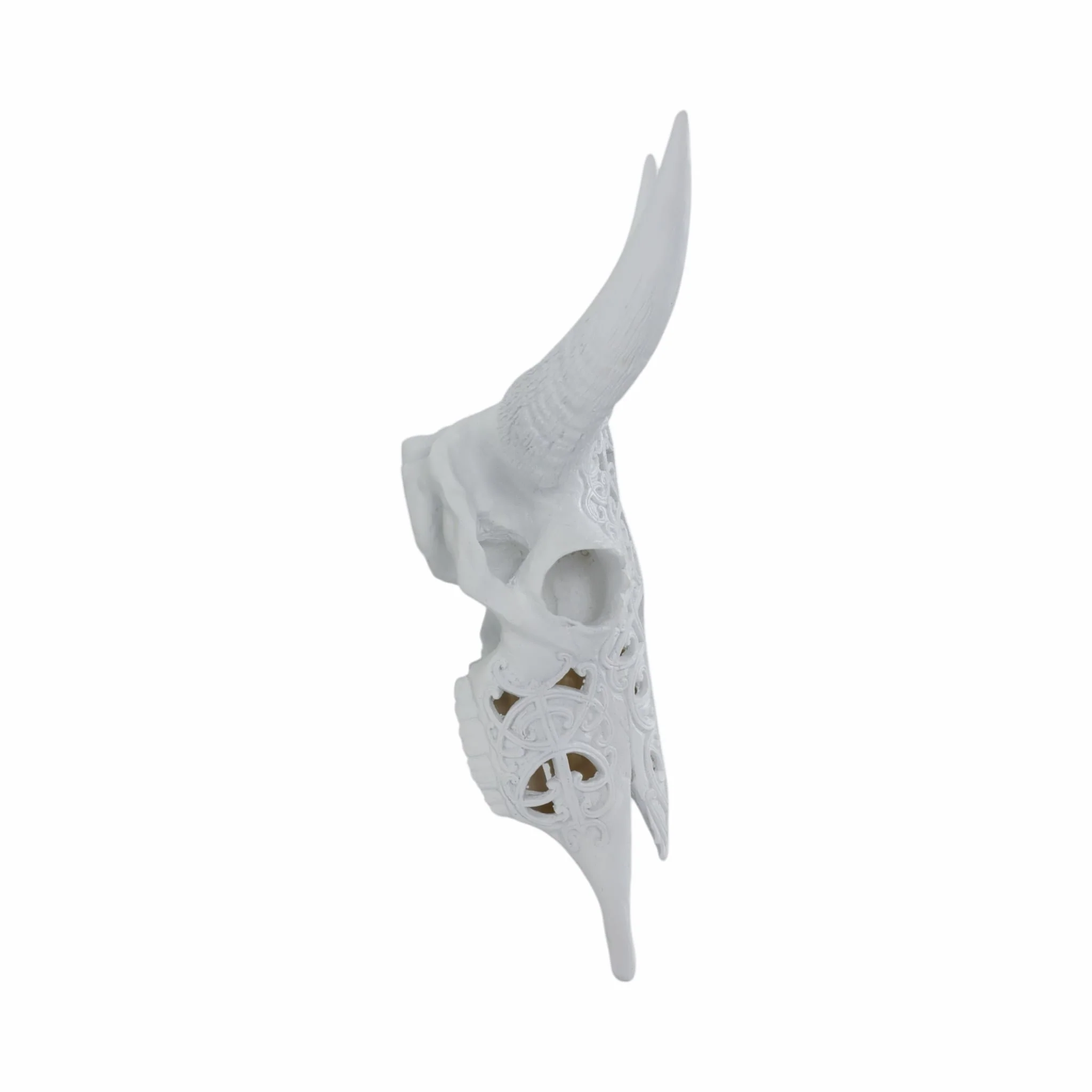 Carved White Bull Skull 18" Kd - Image 3