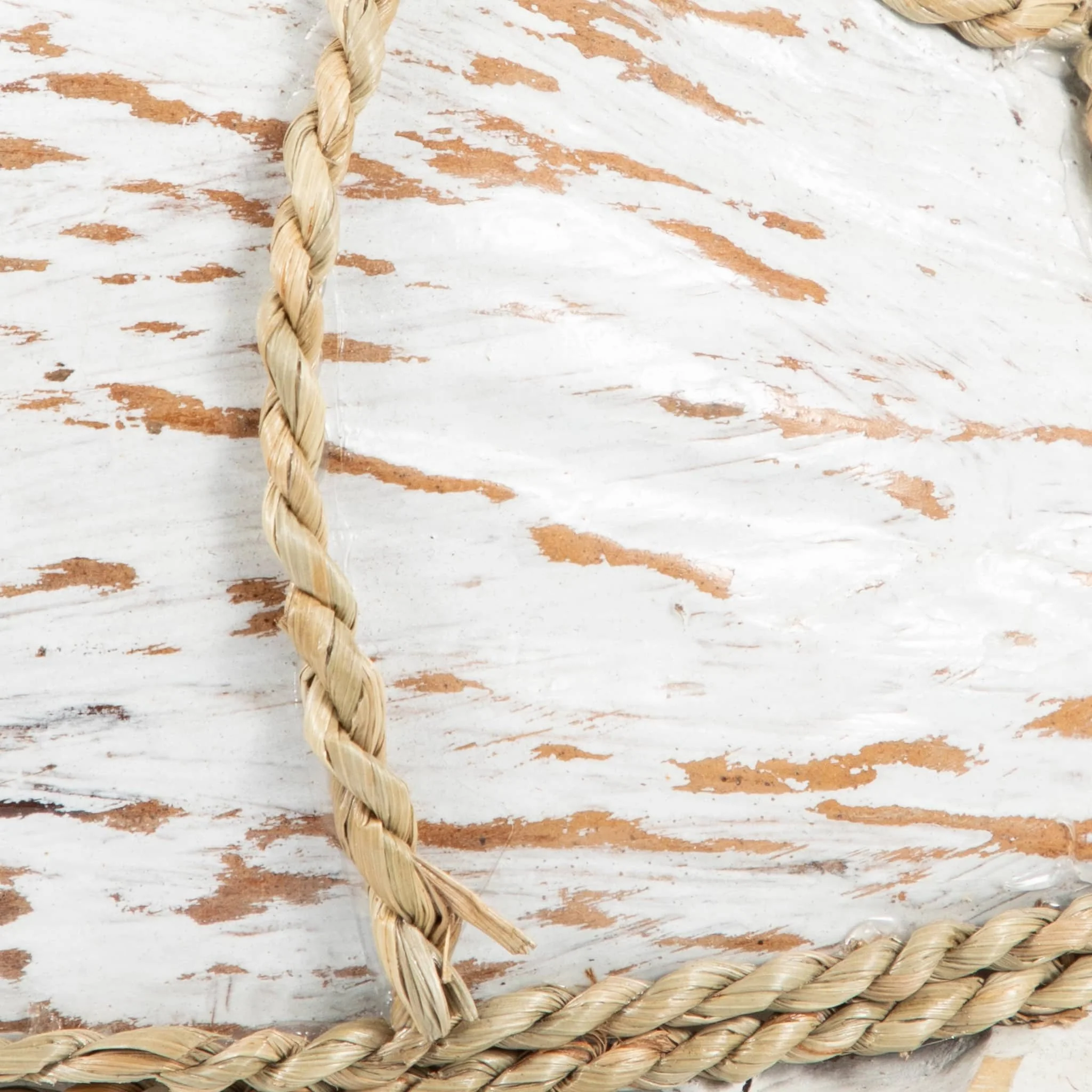 Coconut, 12"l Turtle, White/brown - Image 5