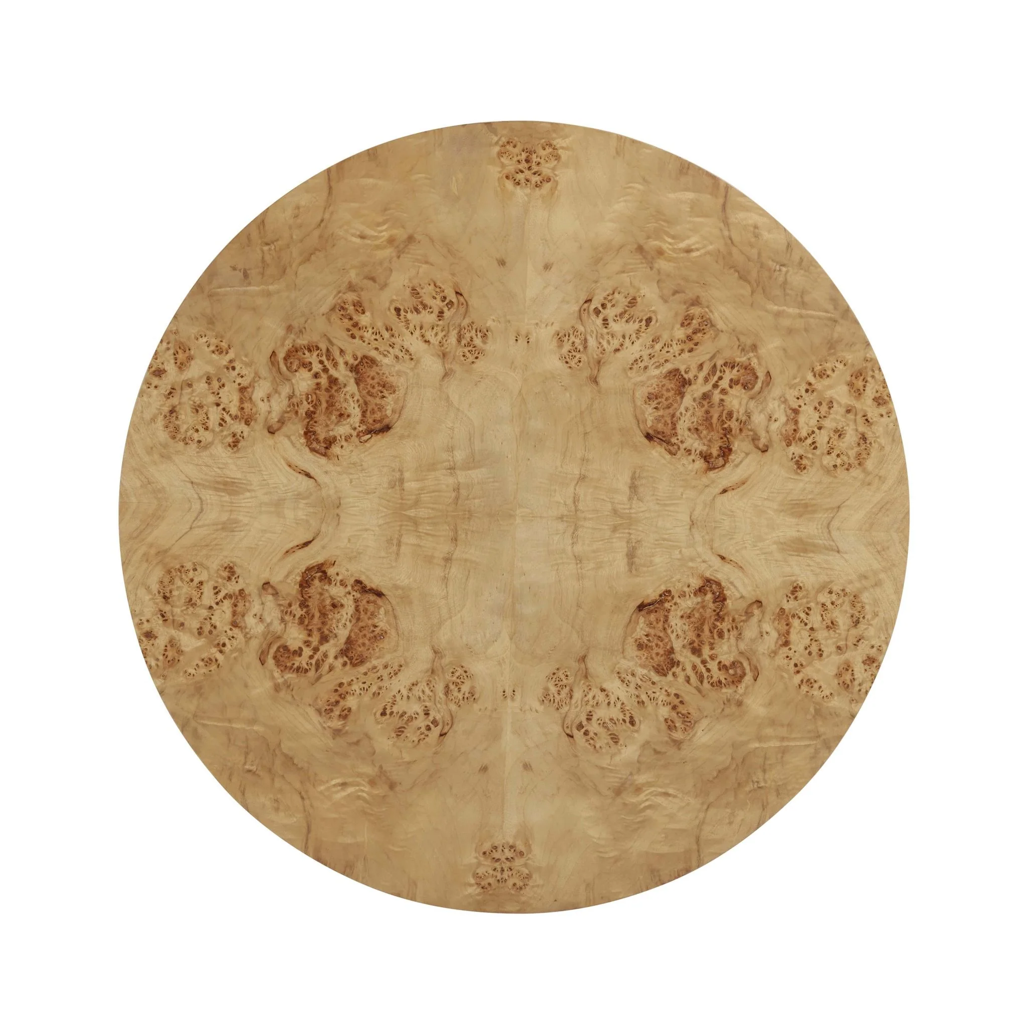 Fig Natural Burl Drum Coffee Table - Image 5