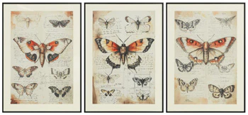 Jossletts Wall Art (Set of 3)