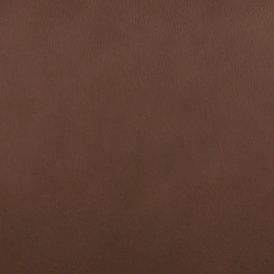 Pincara Power AutoGlide Recliner - Image 4
