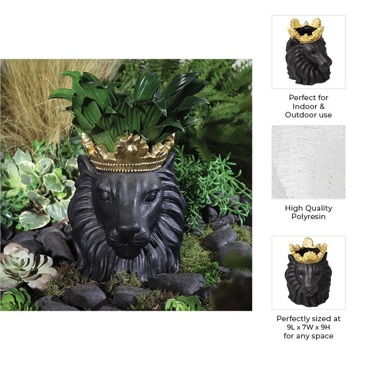 Resin 9" Lion W/ Crown, Black - Image 2