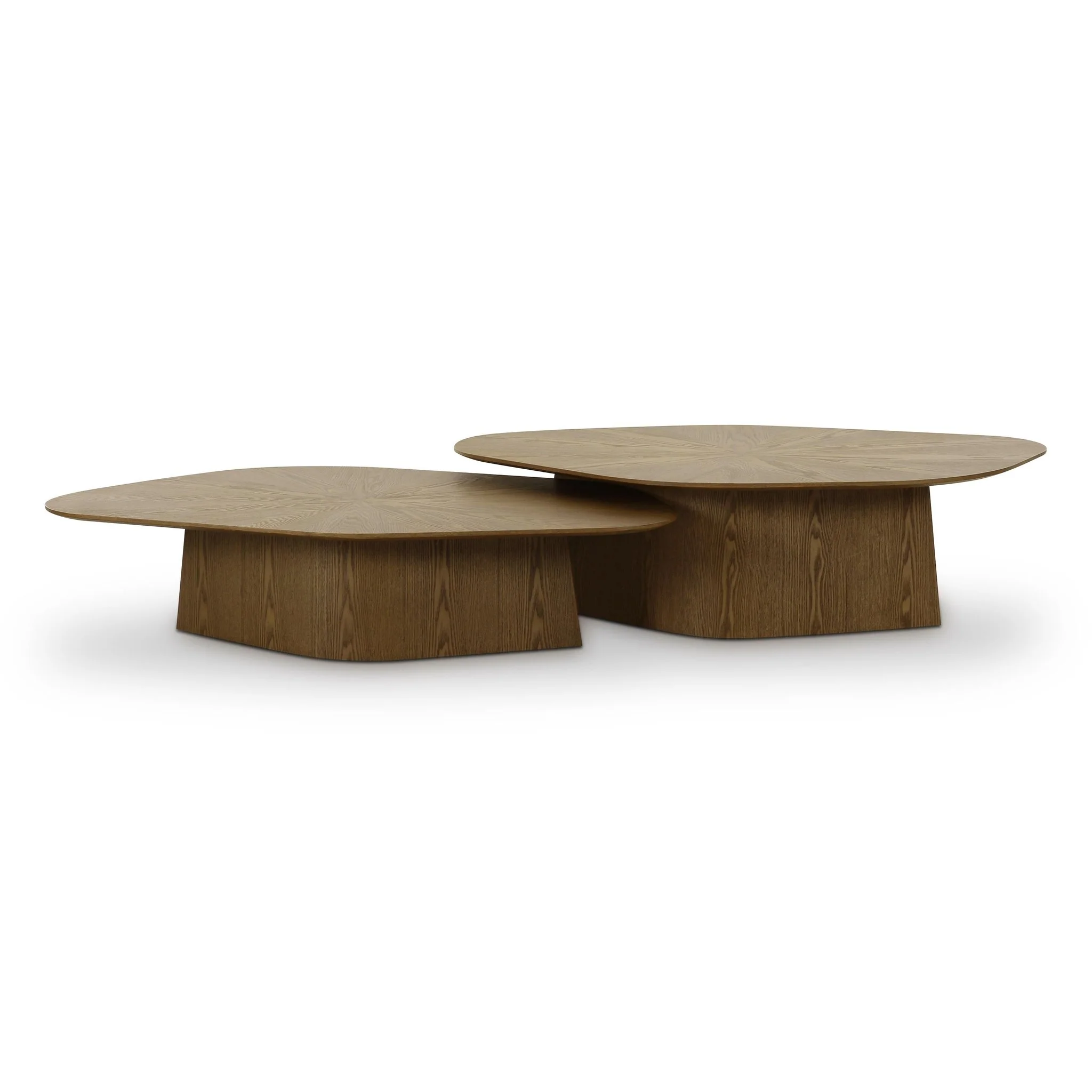 Roche Brown Ash Low Coffee Table - Image 5