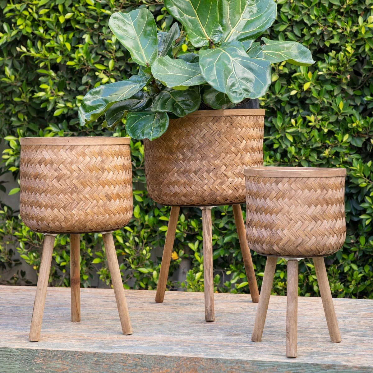 S/3 Bamboo Planters 11/13/15" Brown - Image 9