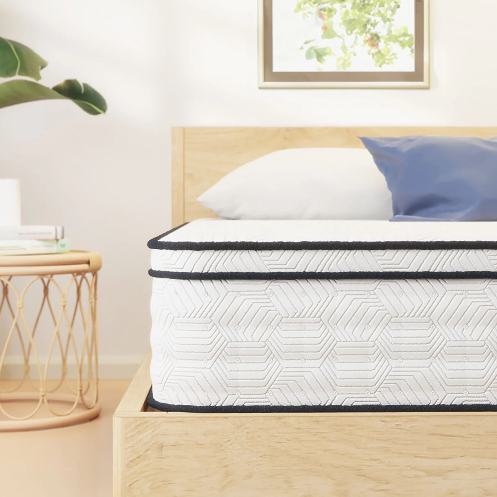 Salvia 12" Full Euro Top Mattress - Image 2