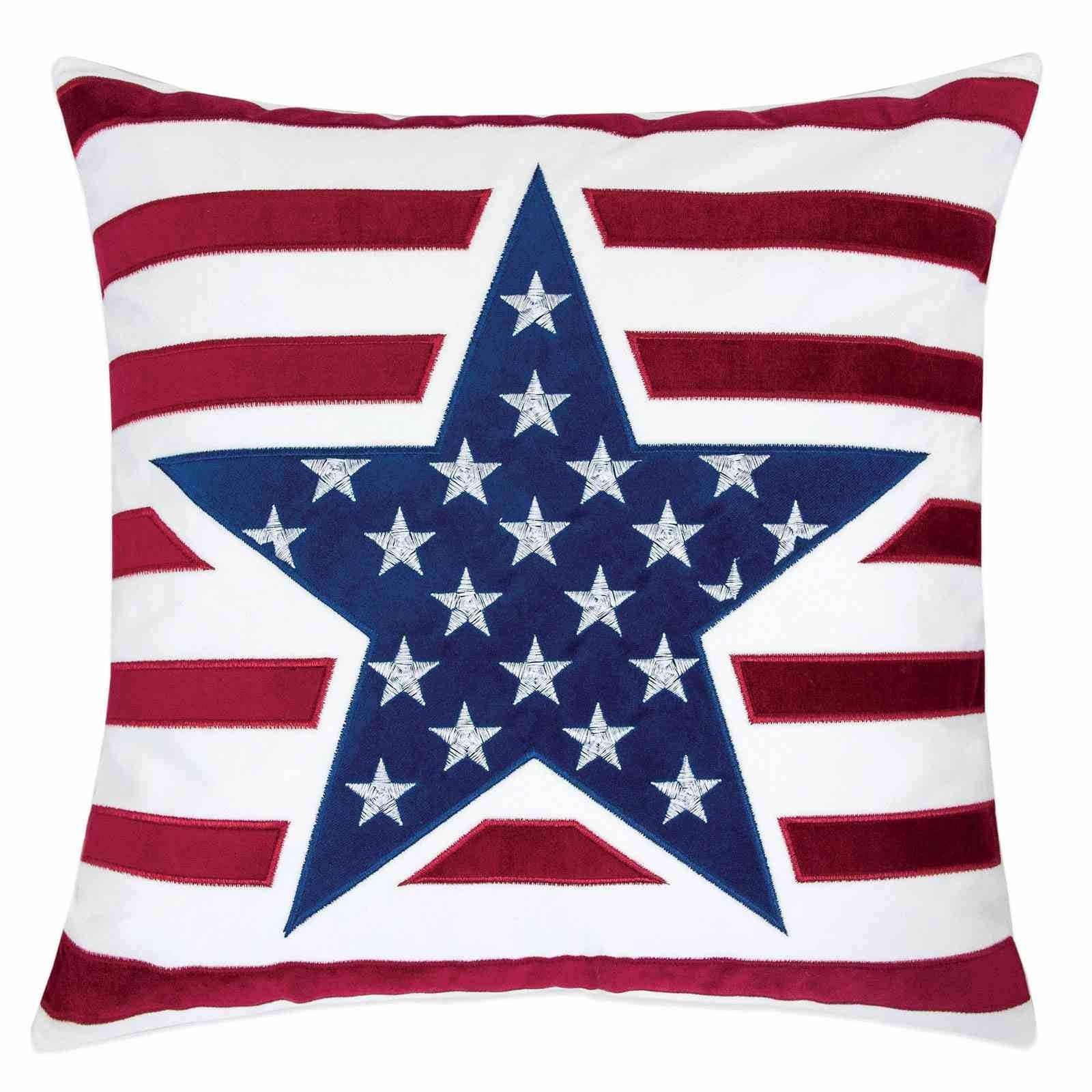 Texis 20" X 20" Pillow (2/CTN)