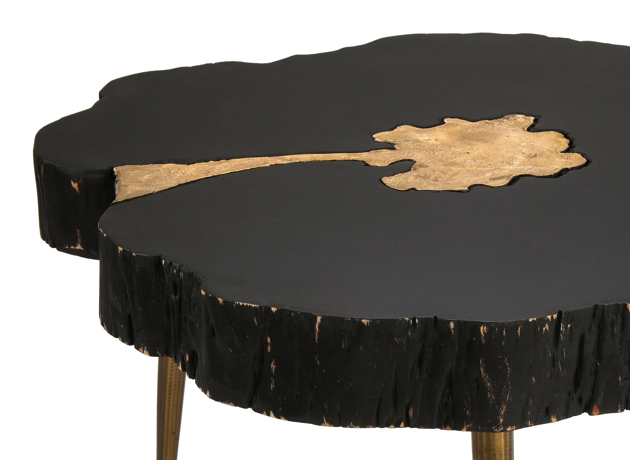 Timber Black and Brass Coffee Table - Image 4